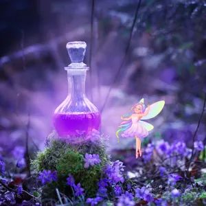 Fairy Reiki Students