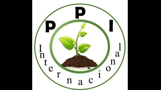 PLANTADORES DE IGLESIAS