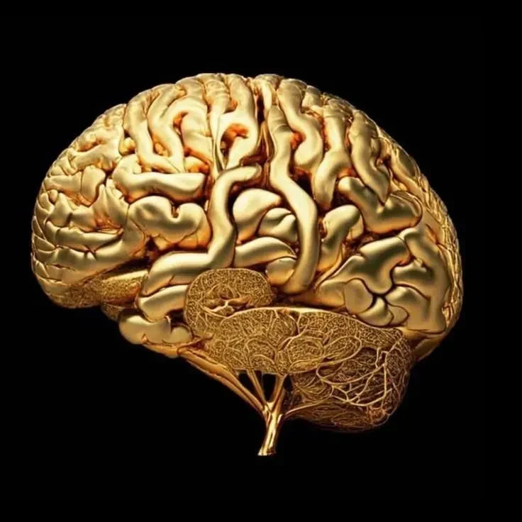 Neuro Alignment Institute  logo