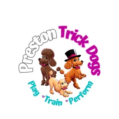 PTD Online Academy logo
