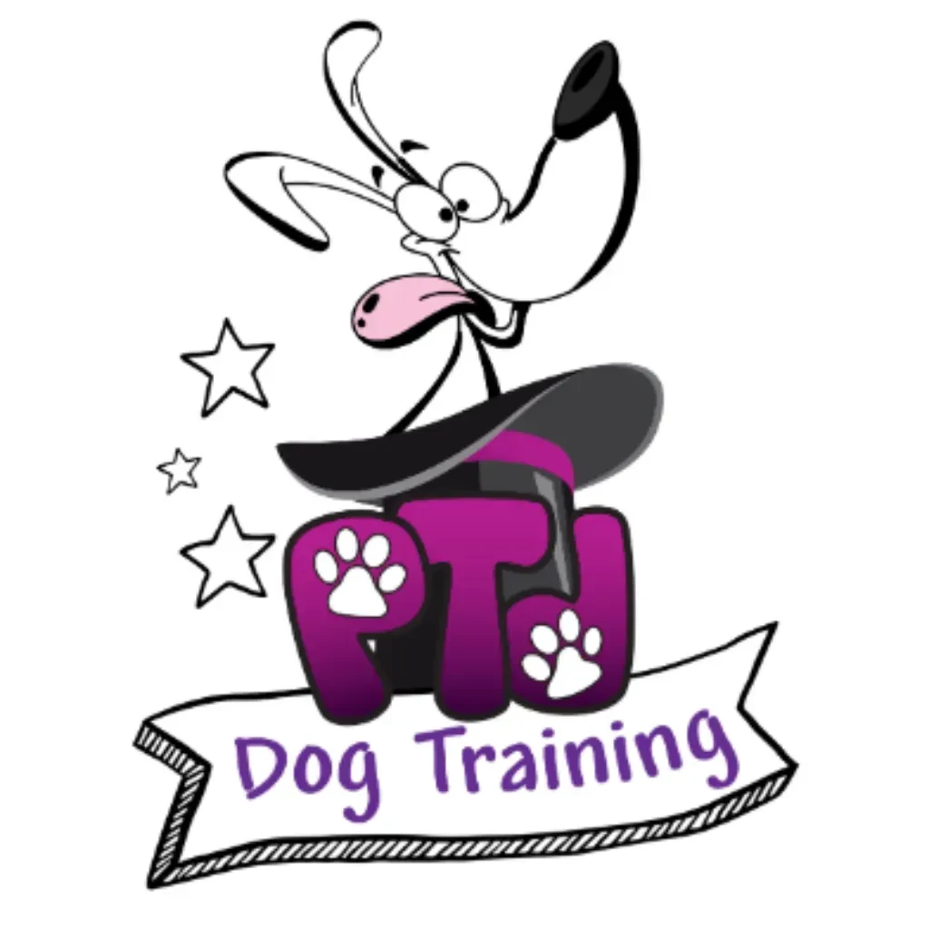 PTD Online Academy logo