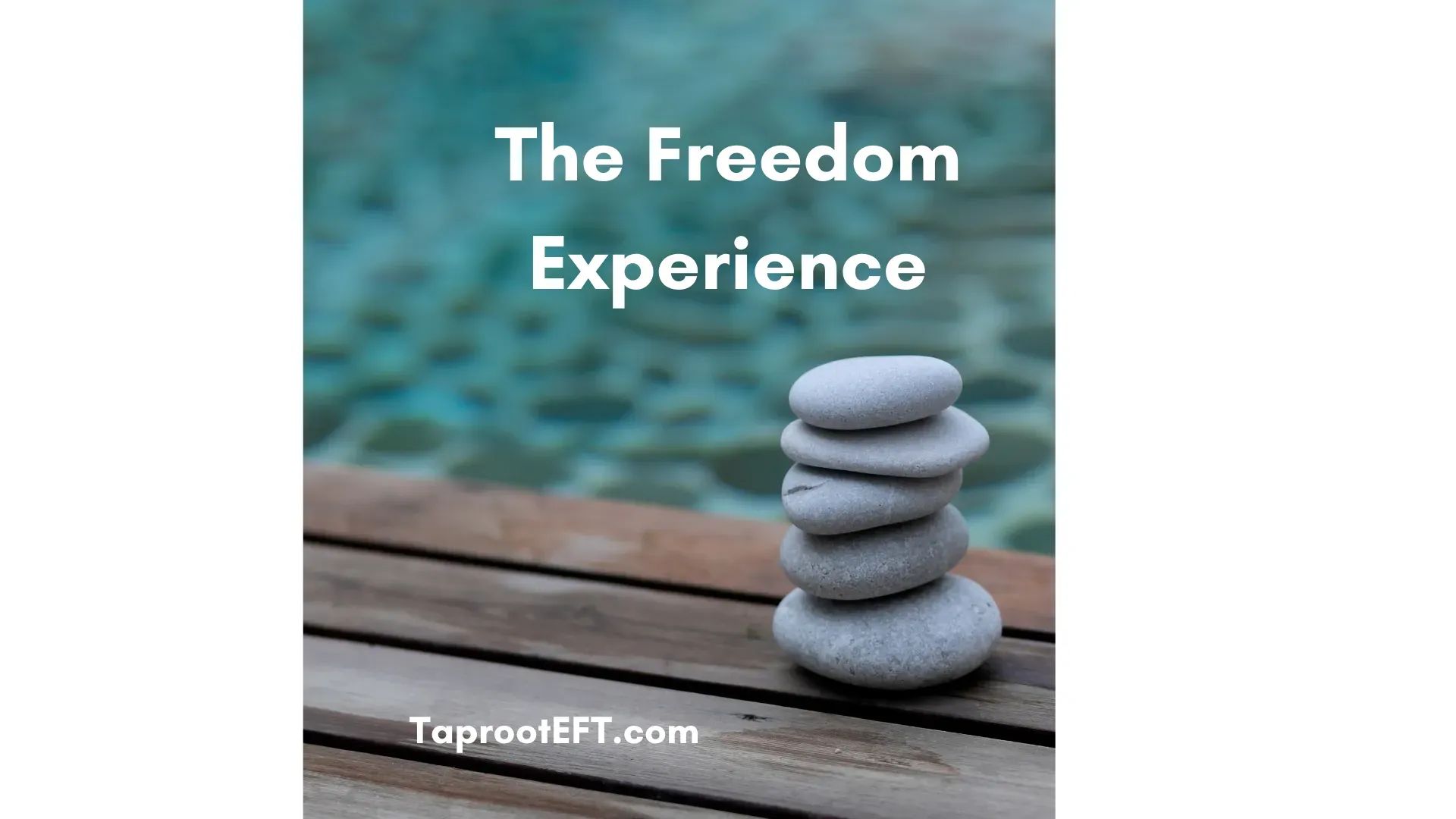 The Freedom Experience