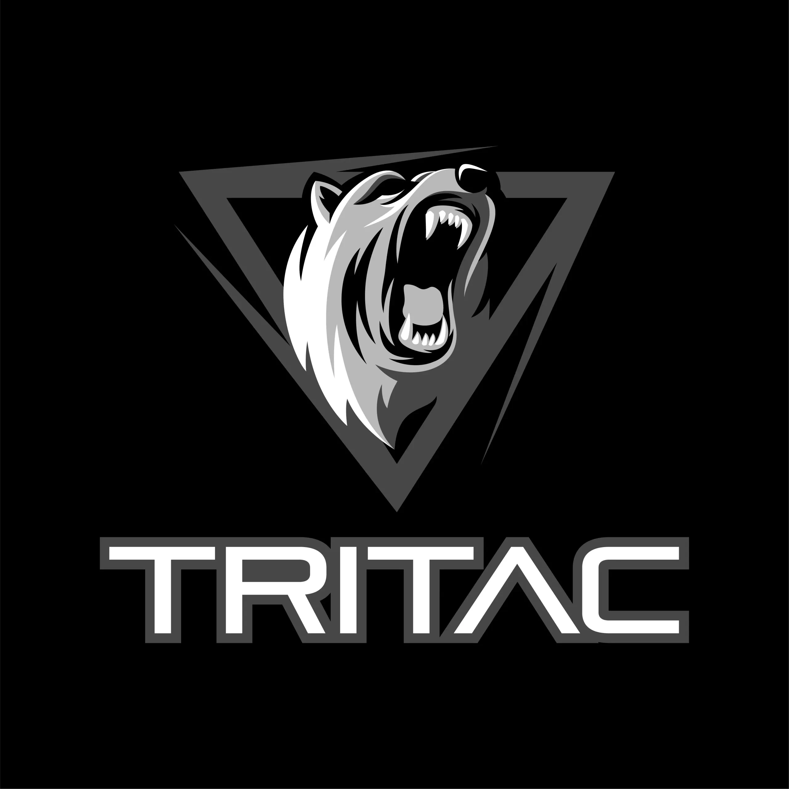 TRITAC Foundations logo