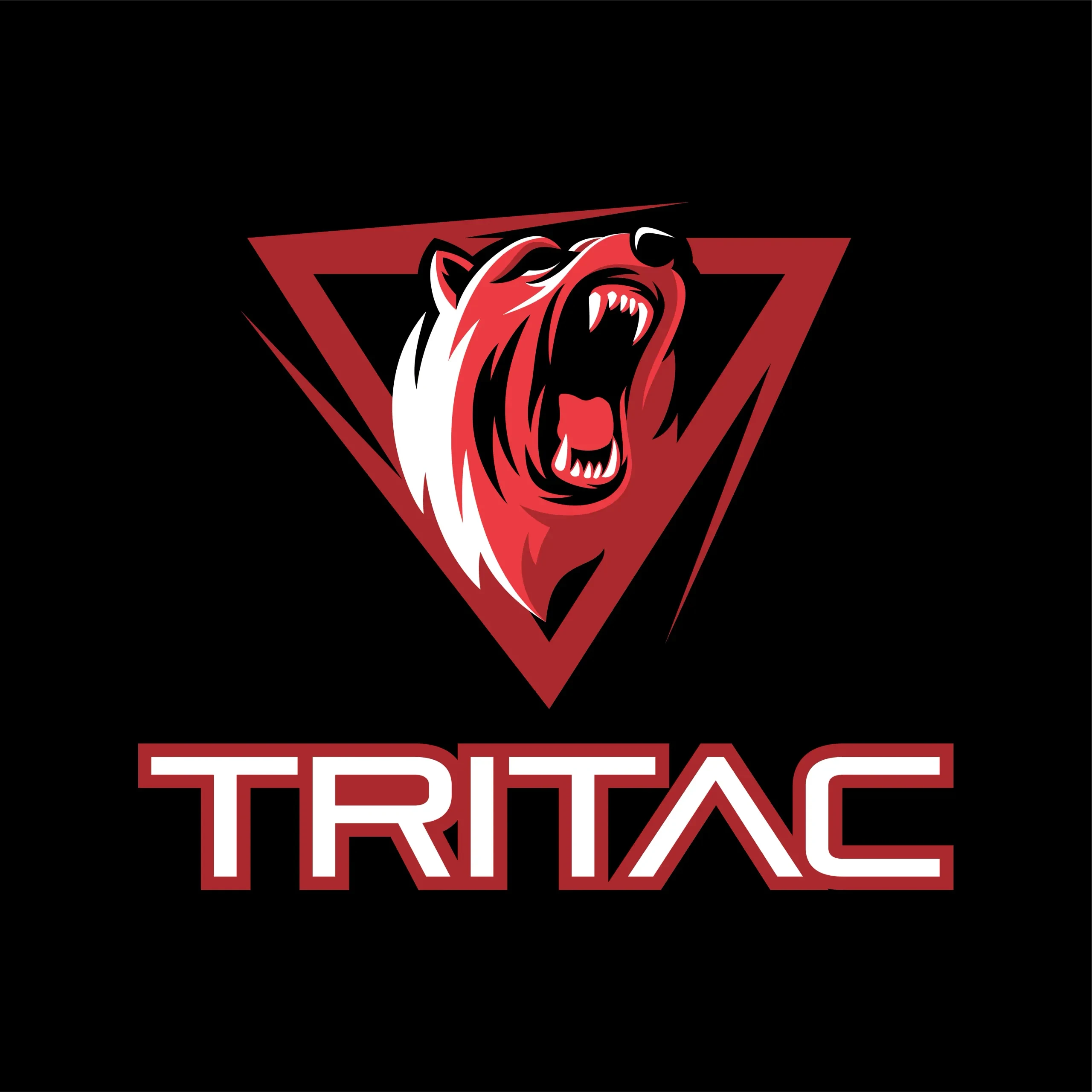 TRITAC Matrix logo