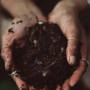 The Soil logo