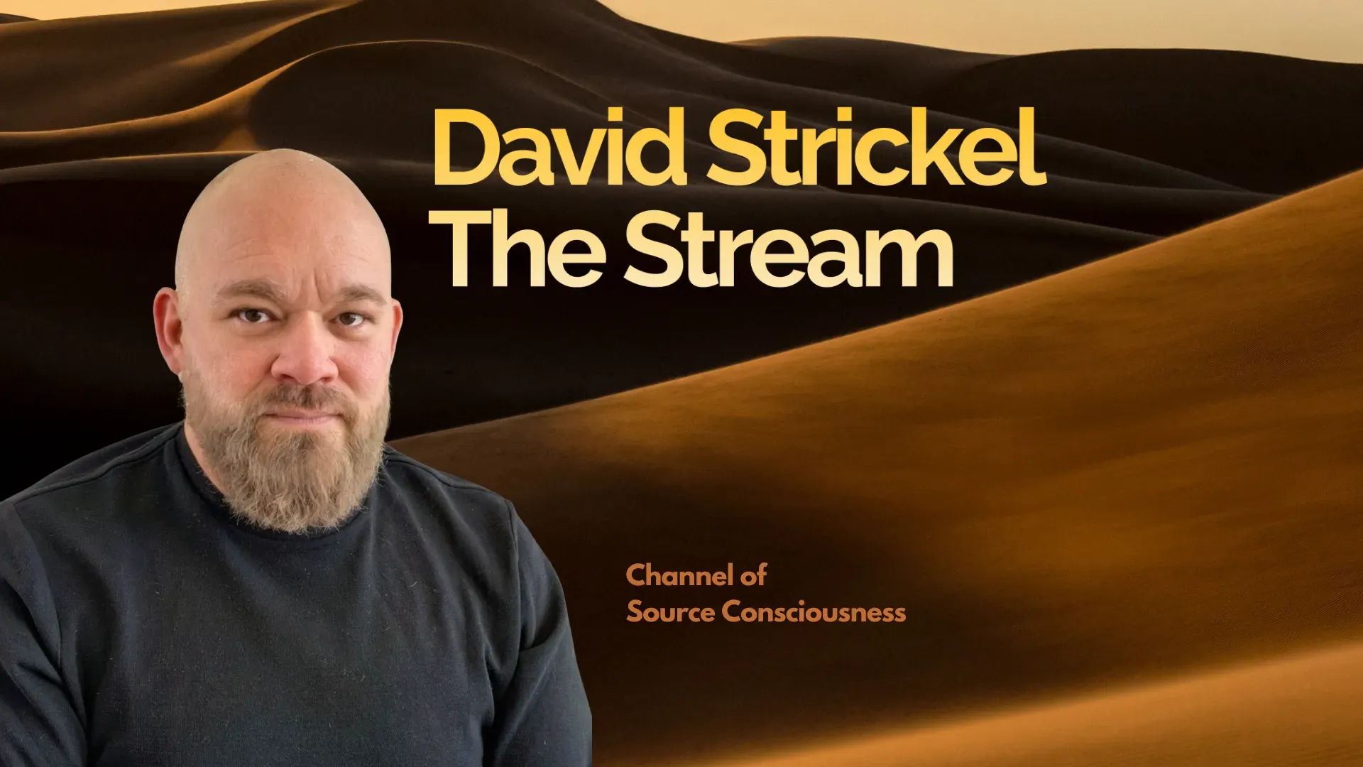 David Strickel | The Stream