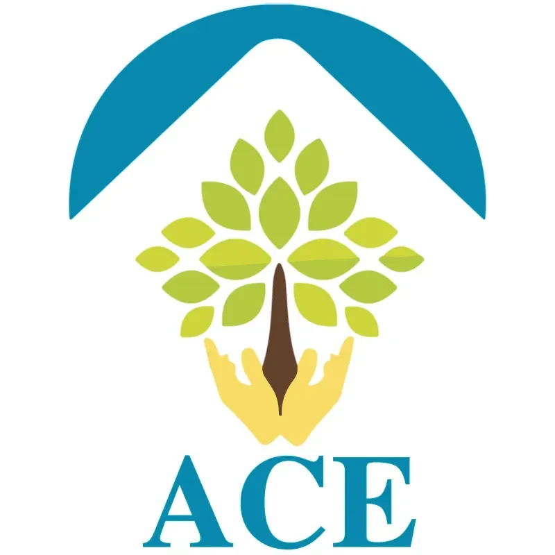 ACE 4 Connections logo