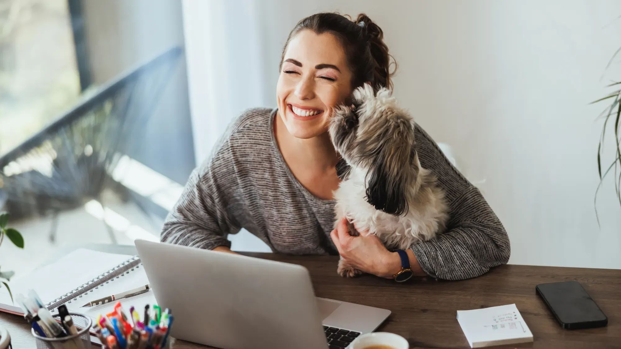 Pet Biz Boss Community 
