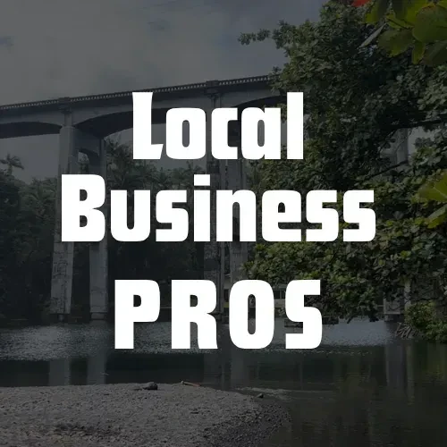 Local Business Pros Network logo