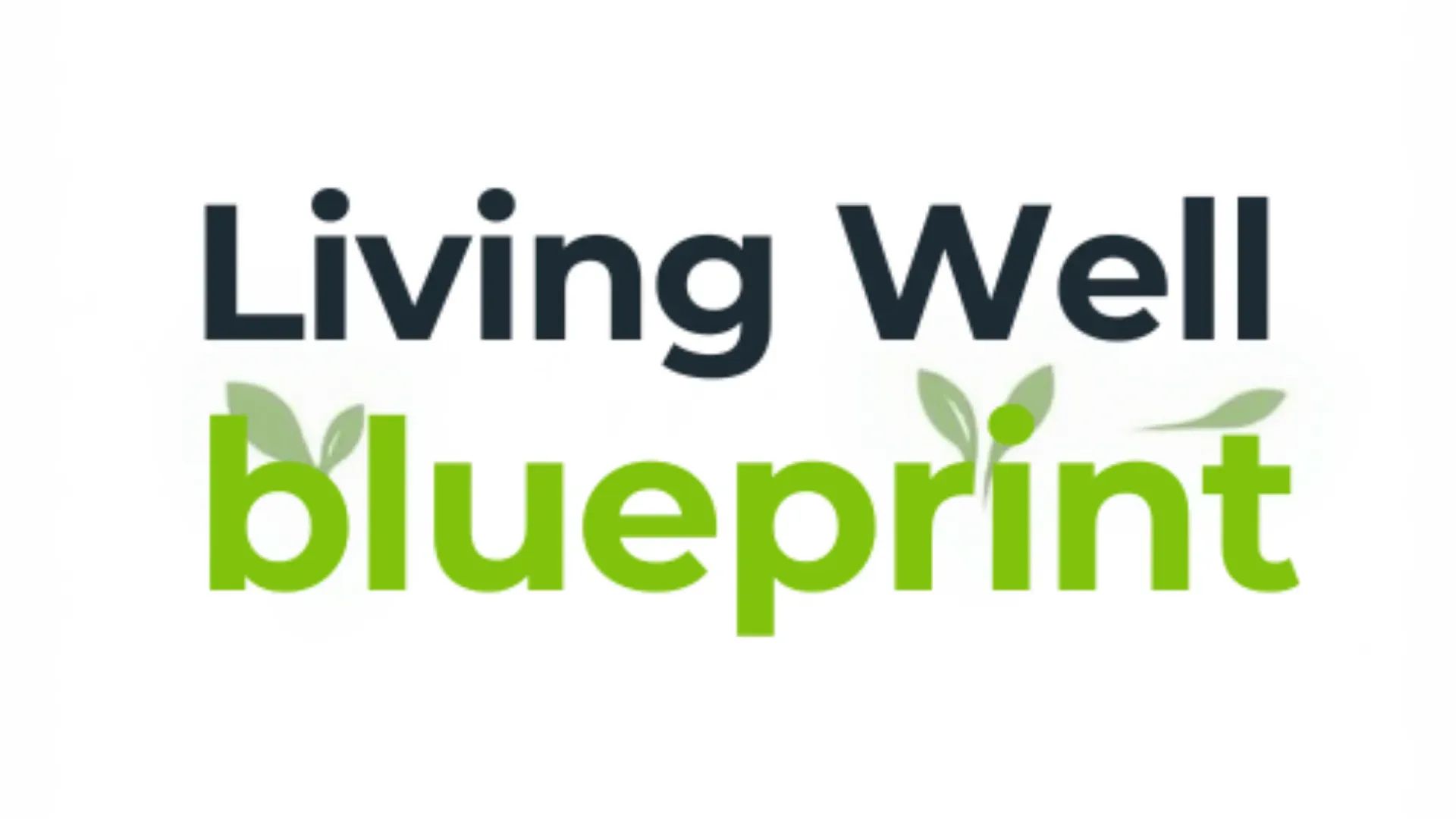 The Living Well Blueprint™