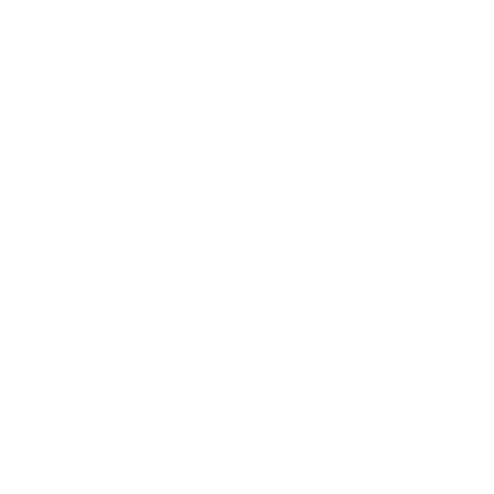 II -Socios logo