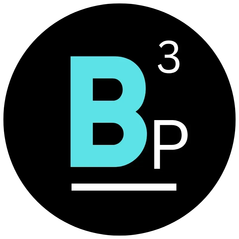 The B3 Project logo