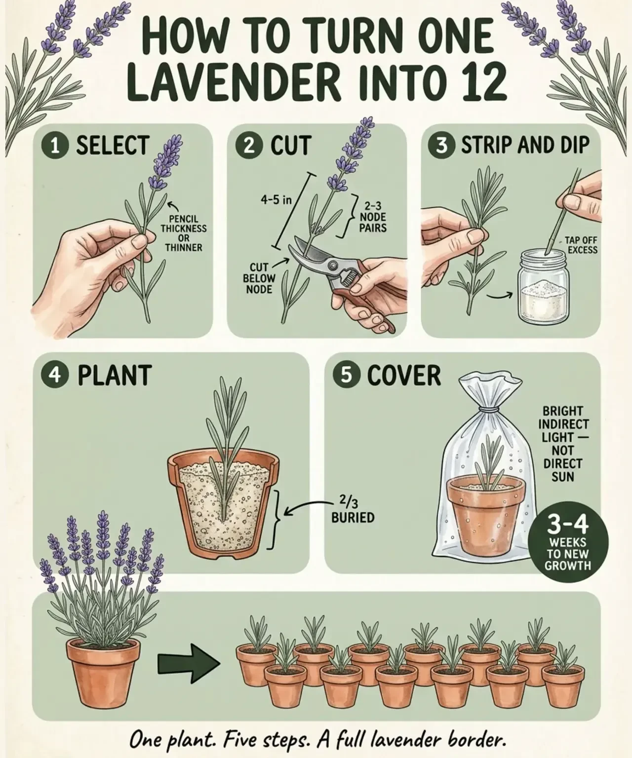 A true gift this plant is