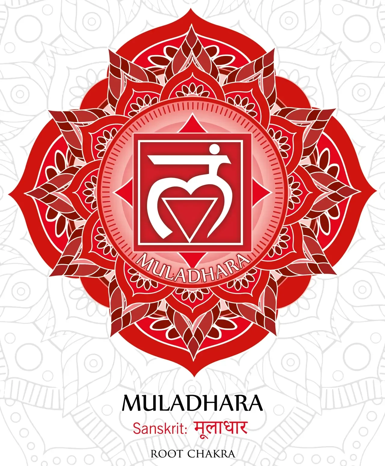 About the Chakra Energy System