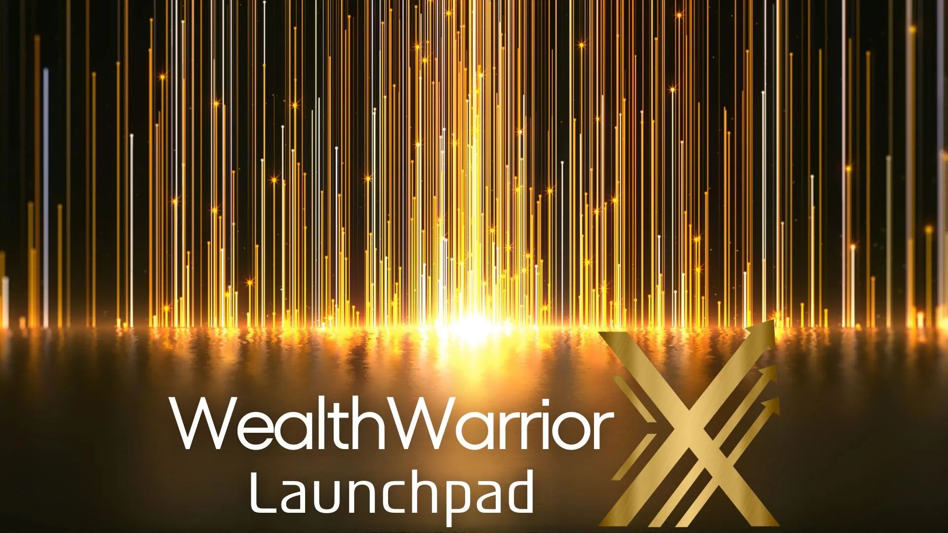 Wealth WarriorX Launchpad
