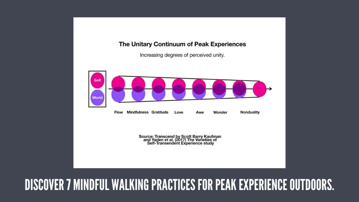 Slide 3 of 6