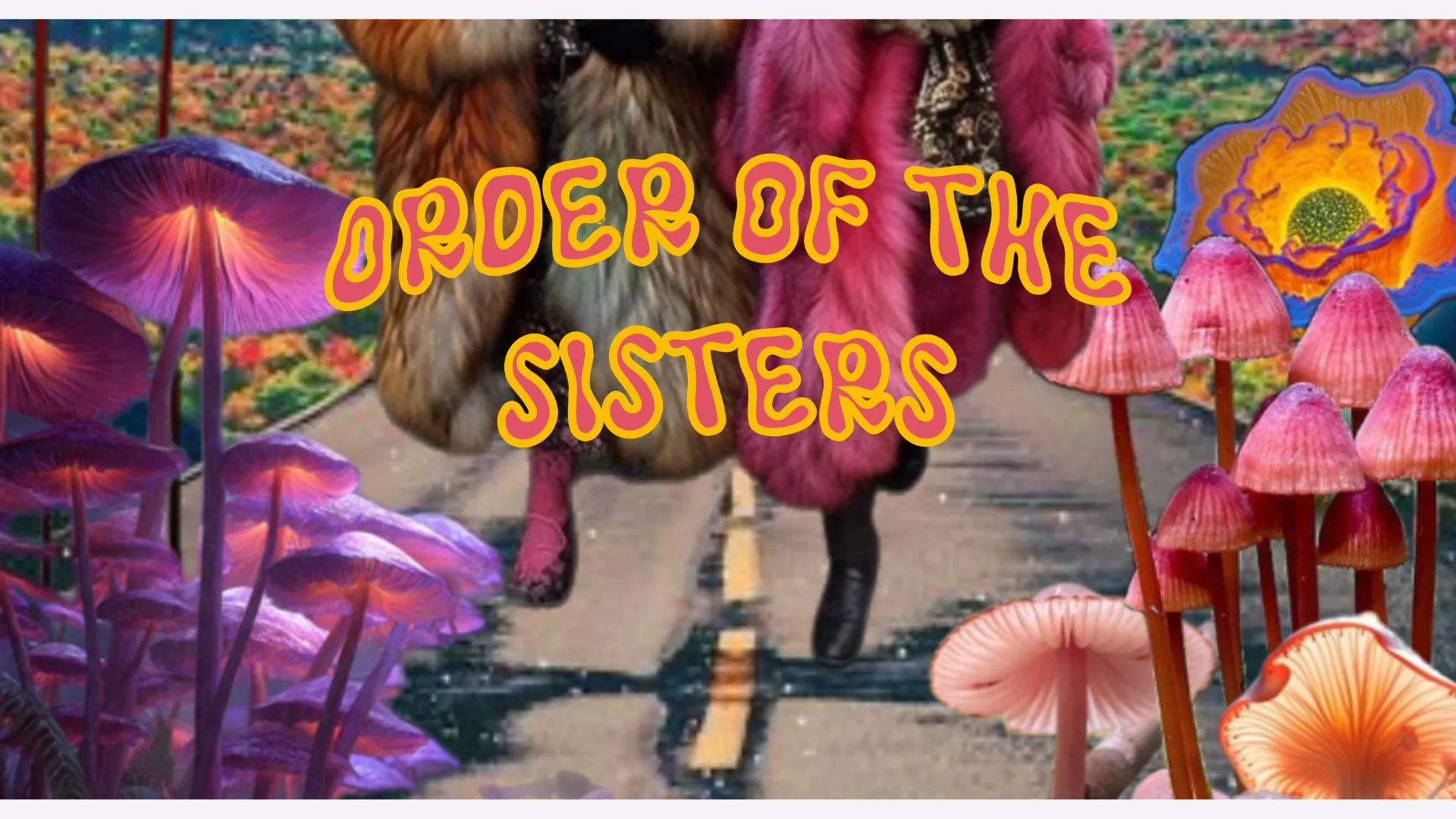 The Order of the Sisters