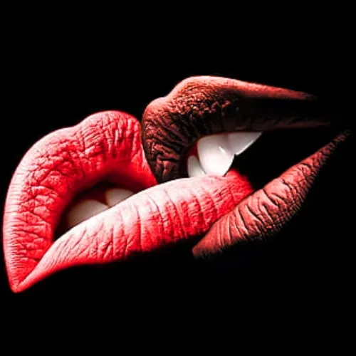 AMOR AMOR Lounge logo