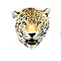 Caption Jungle Community logo