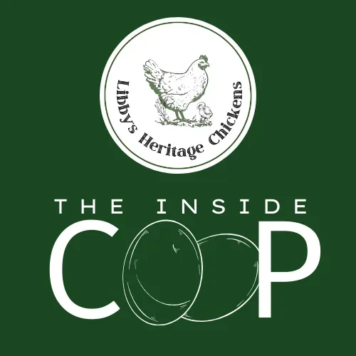 The Inside Coop - Chooks logo