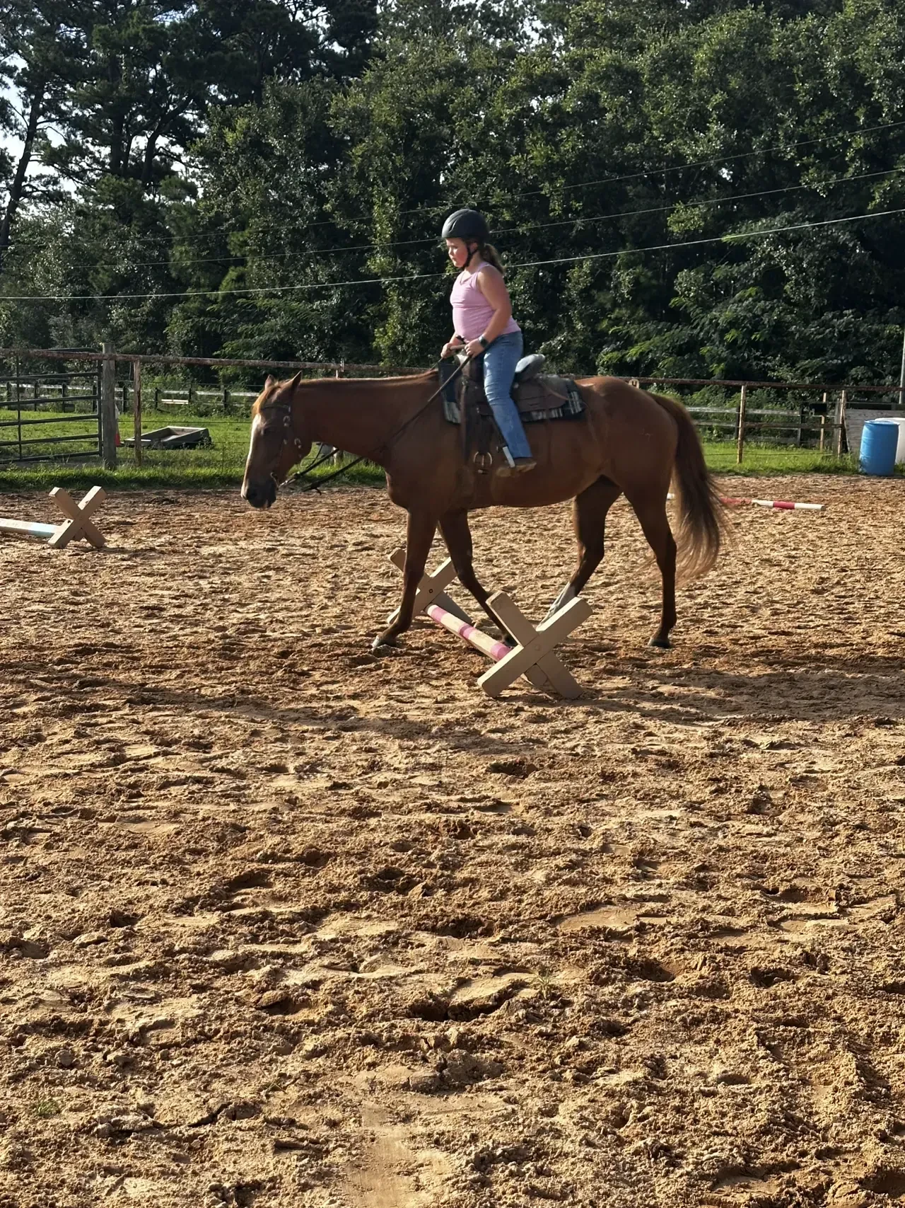 Day 3