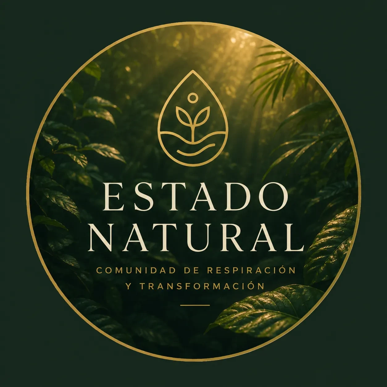 Estado Natural logo