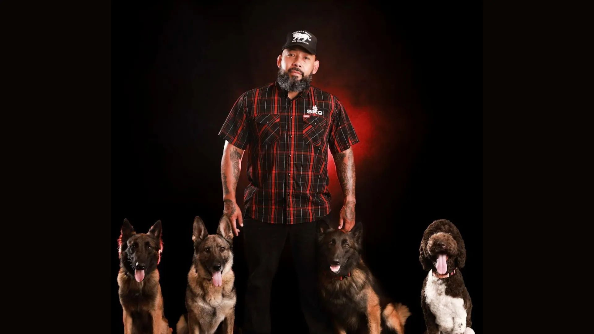 The Pack by Harley & Sergio