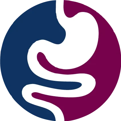 Gsr Instrument logo