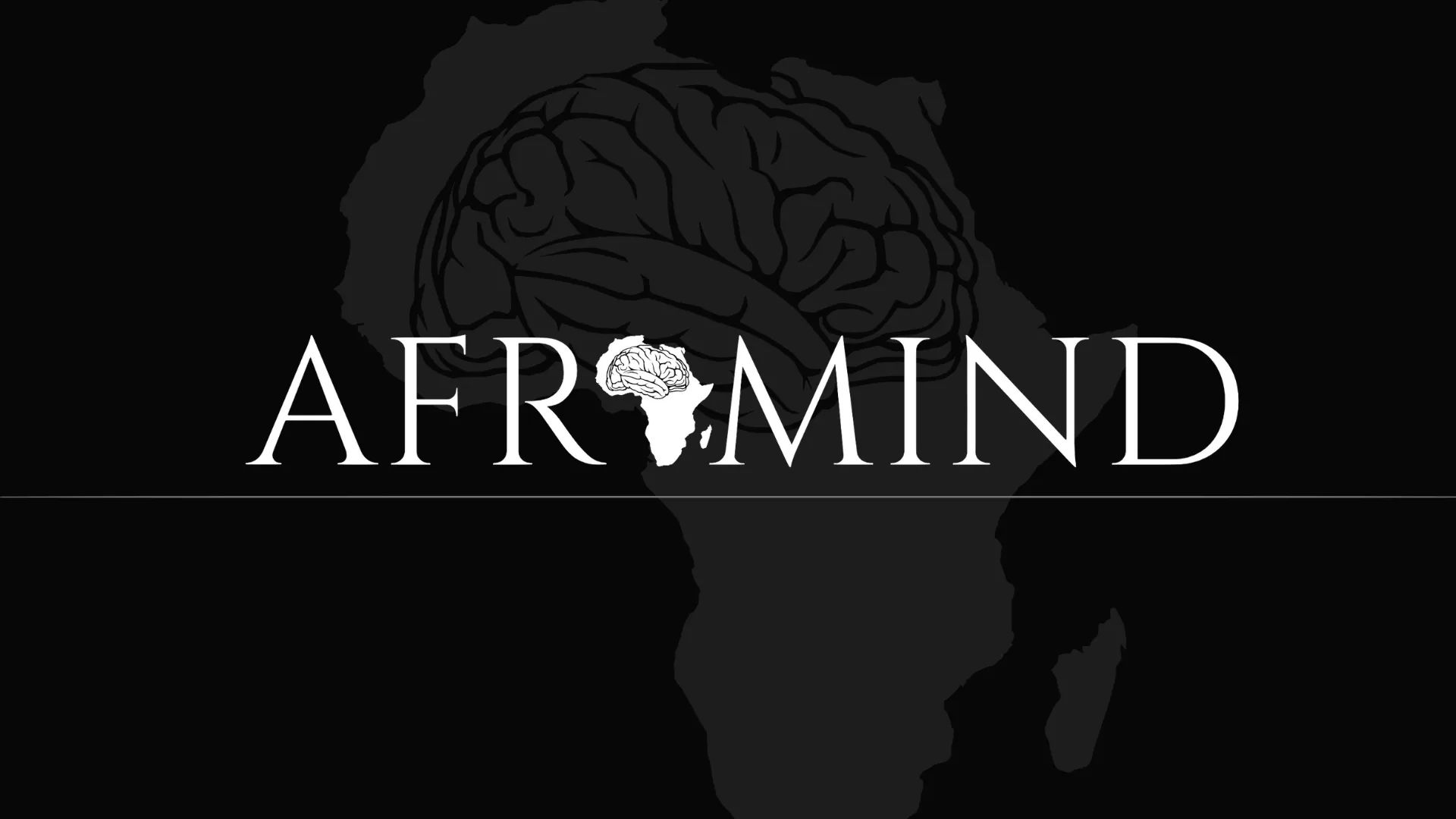 Institut d Excellence Afromind