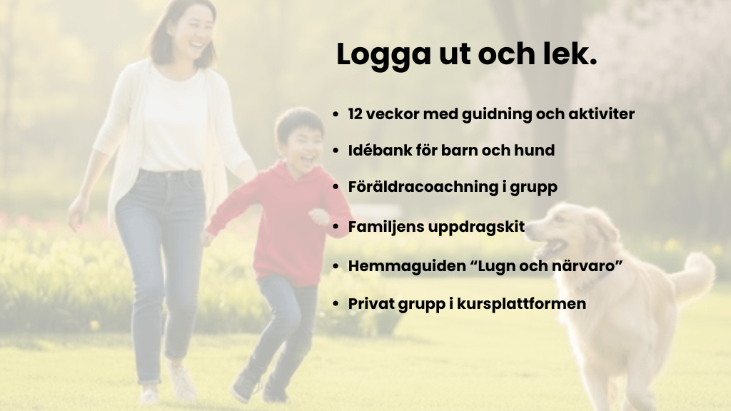 Slide 4 of 4