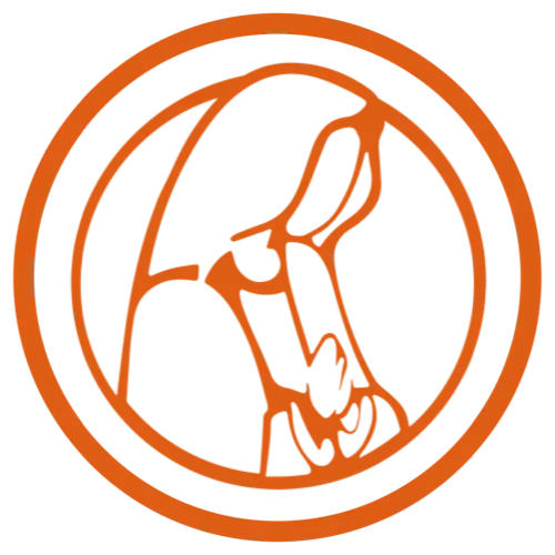 Guadalupe Digital Hub logo