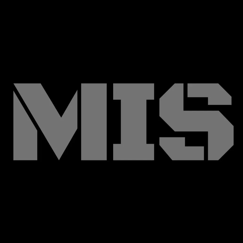 Instituto MagnoSec (MIS) logo