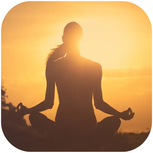 Divine Feminine Sisterhood logo