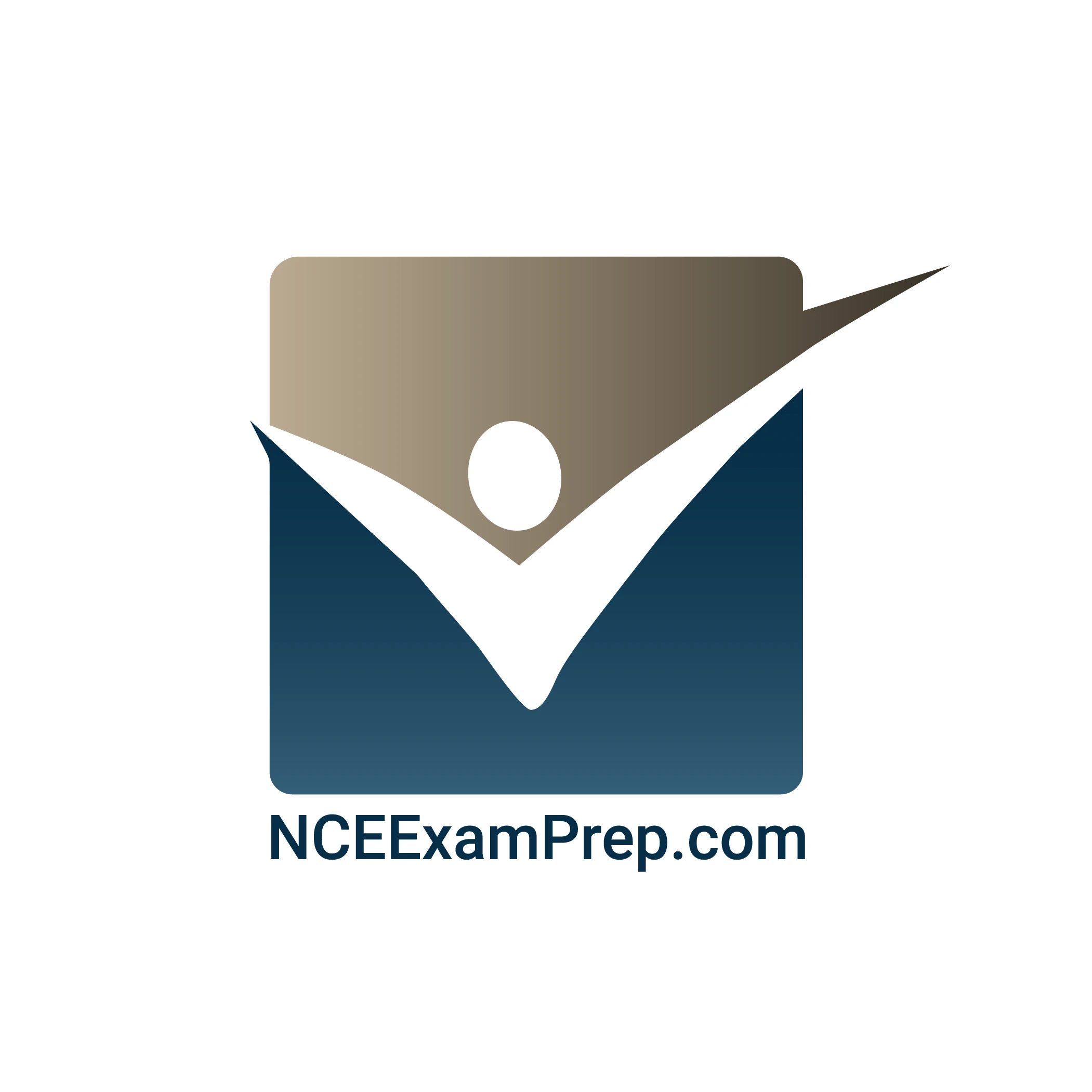 NCE Success Hub logo