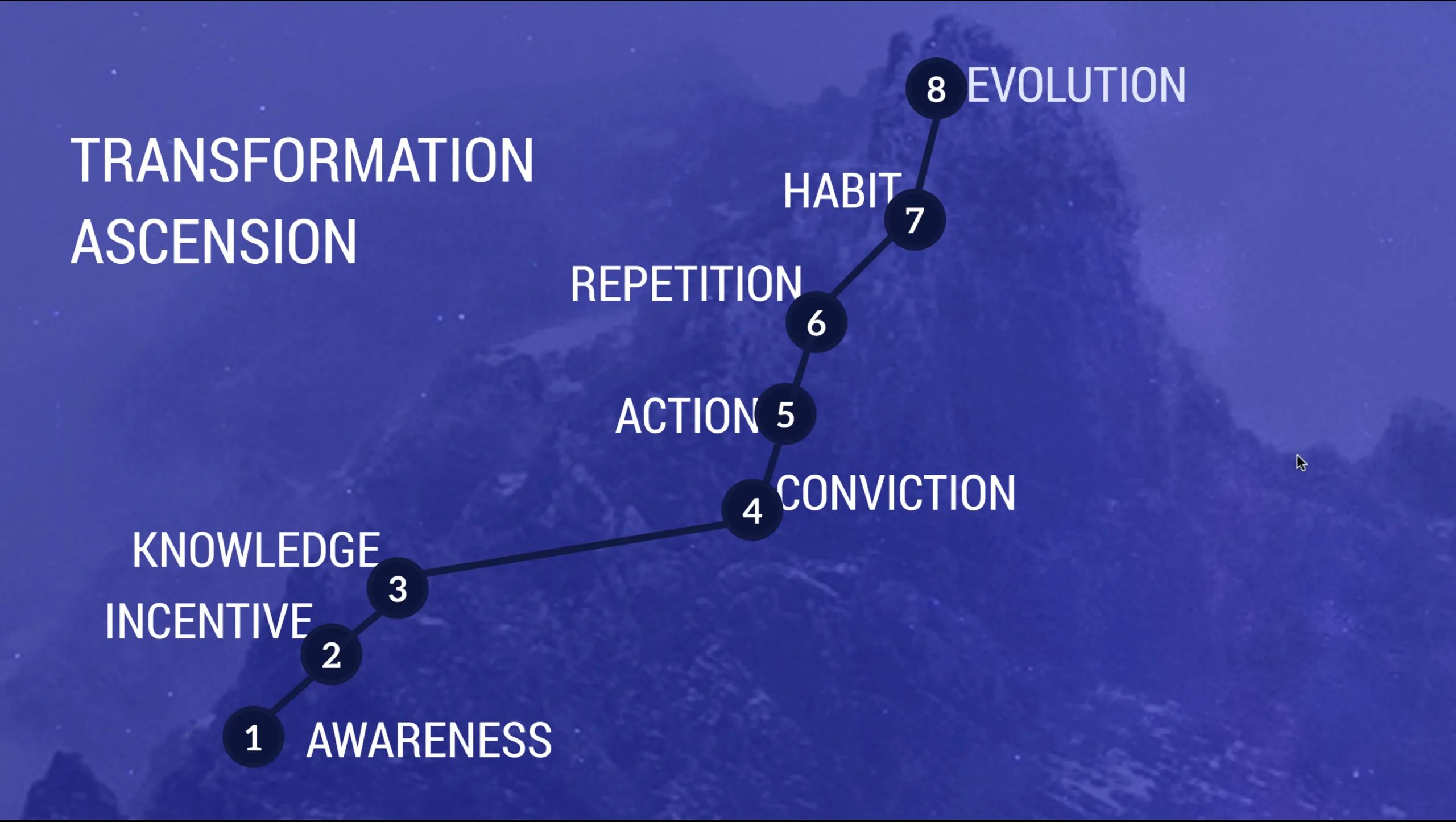 Slide 14 of 16