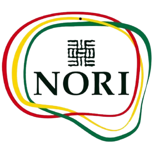 NORI Global Village logo