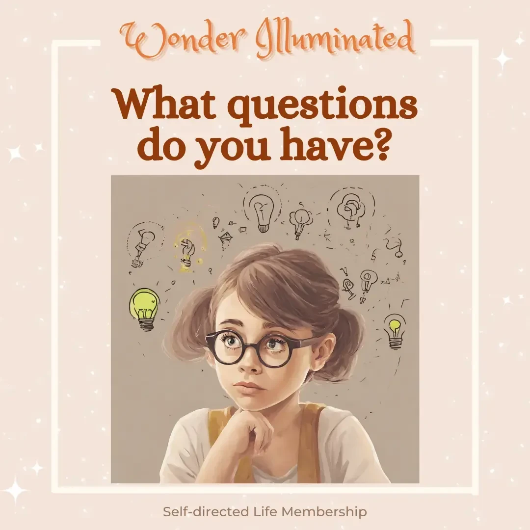 Wonder Illuminated: What Questions Do You Have?