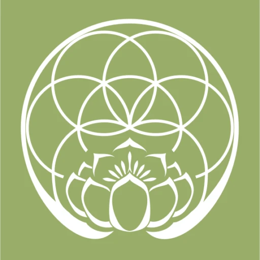 CSA Challenge Community logo