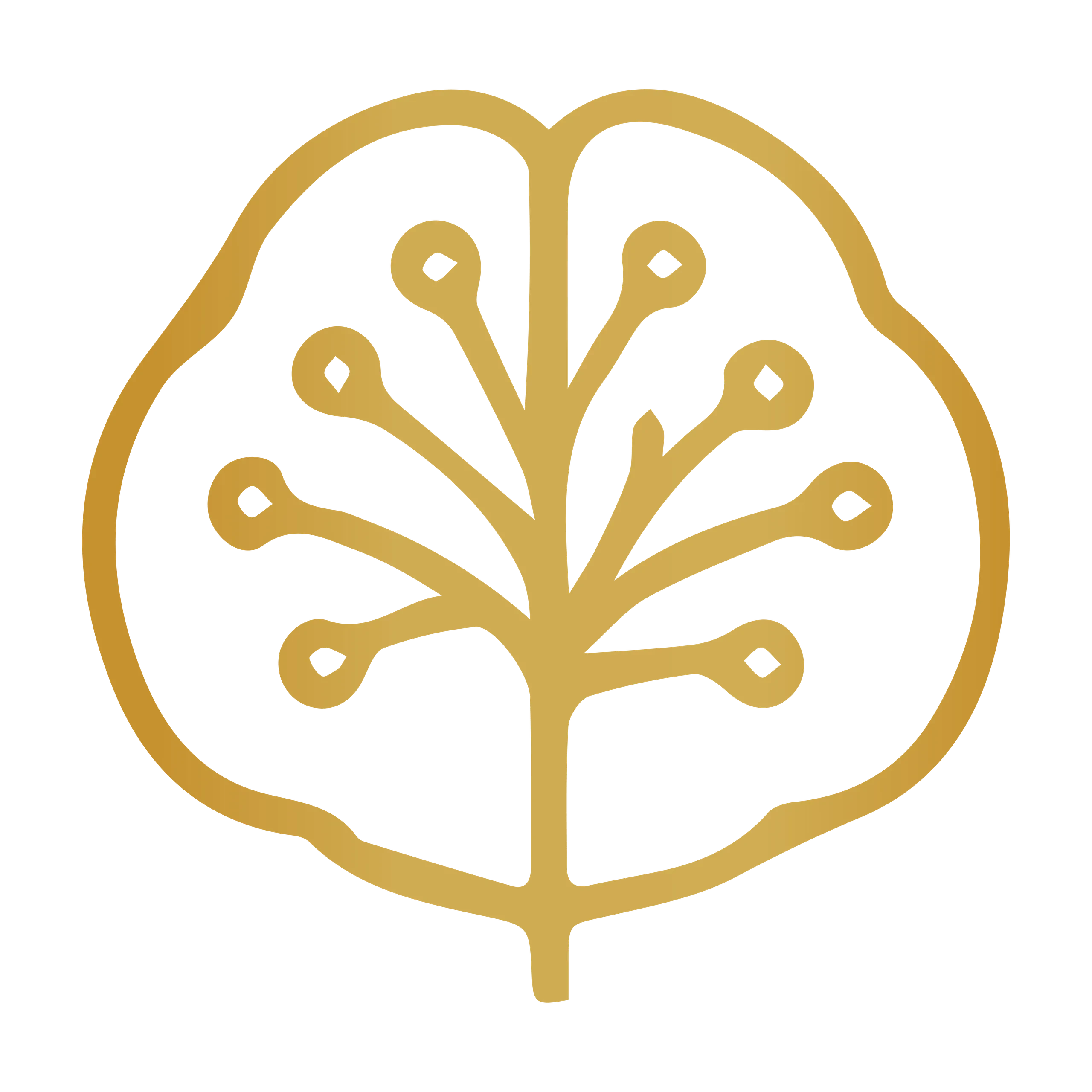 Veda Member Community logo