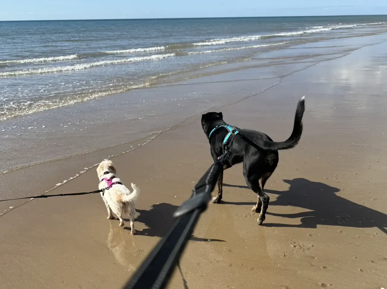 Beautiful beach walk.