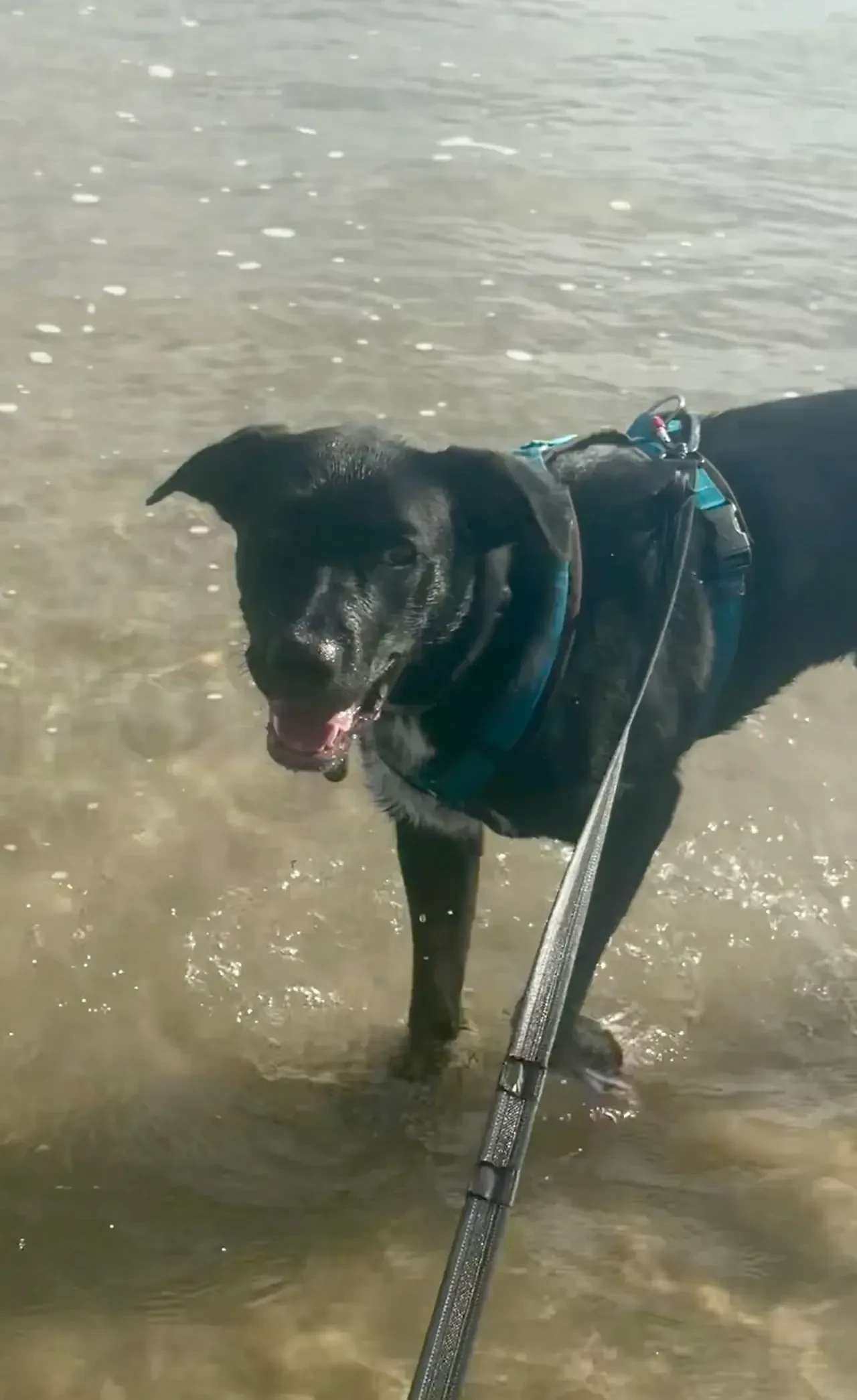 Beautiful beach walk.