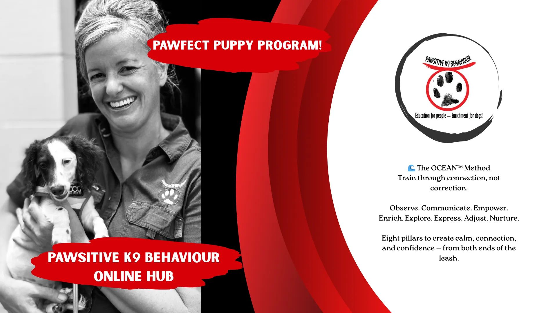 Pawfect Puppy Program