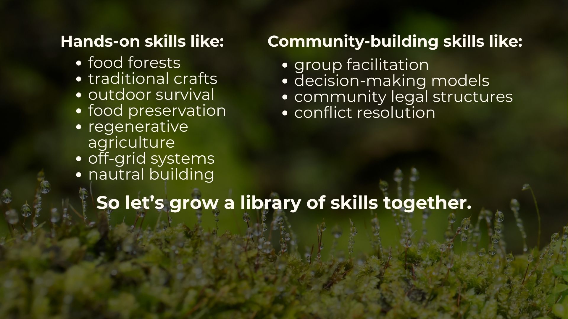 Slide 6 of 7