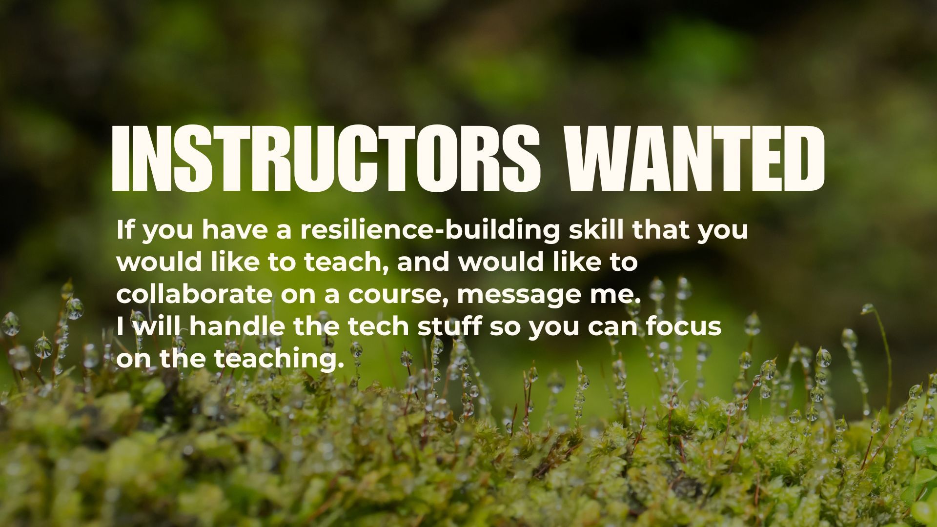 Slide 7 of 7