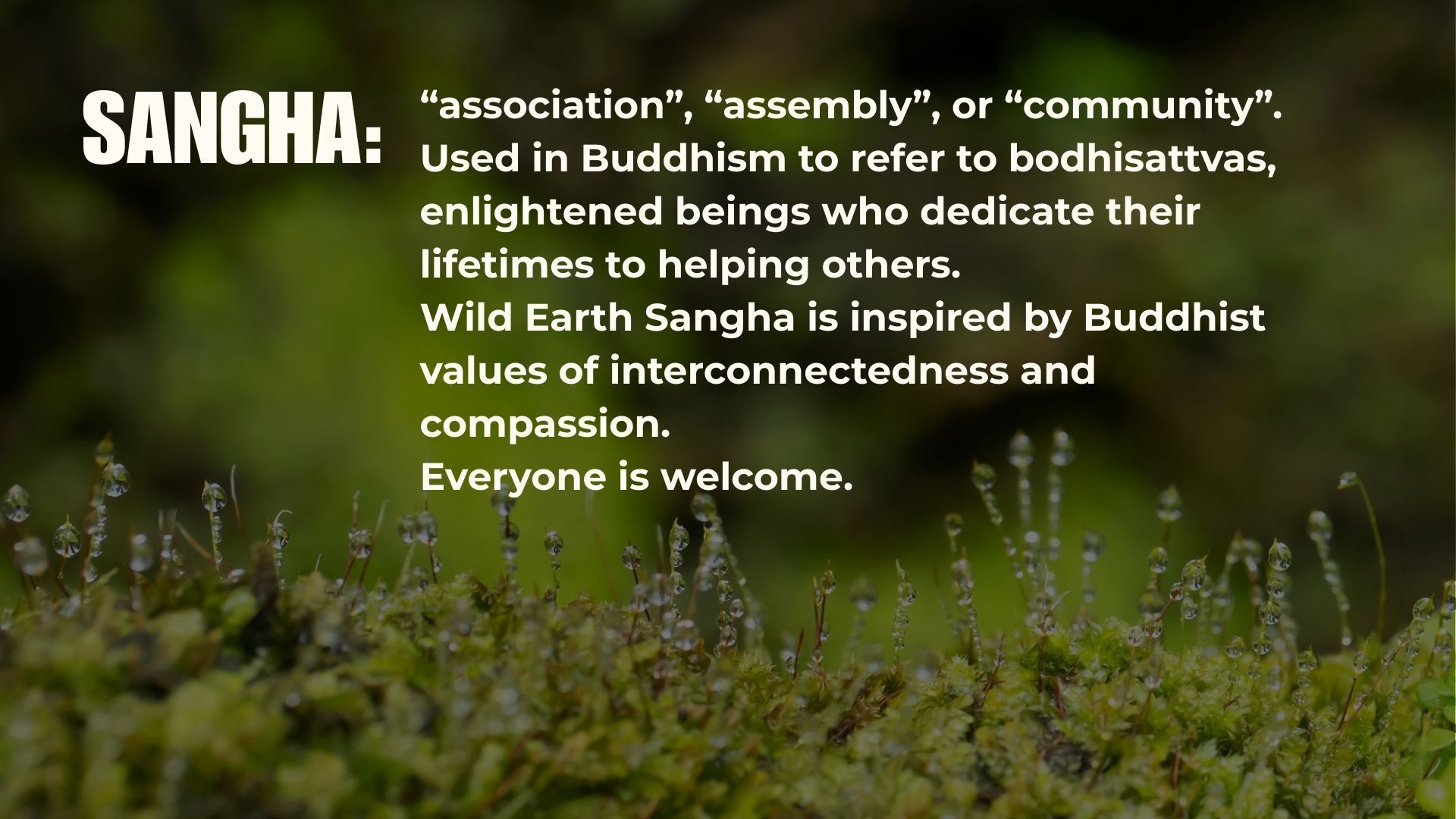 Slide 4 of 7