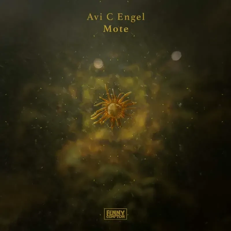 Avi C Engel - Mote