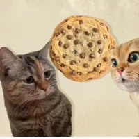 MeowBaksh Meme's logo