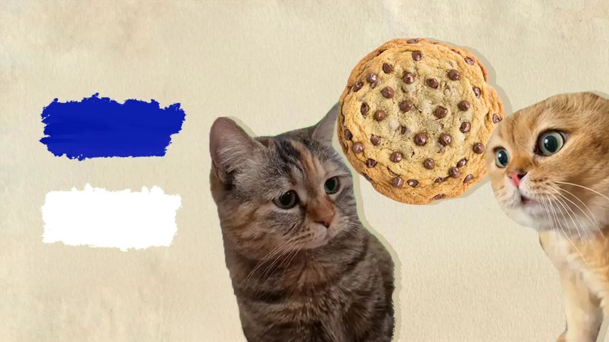 MeowBaksh Meme's