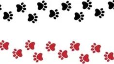 Confident New Pet Guardians banner