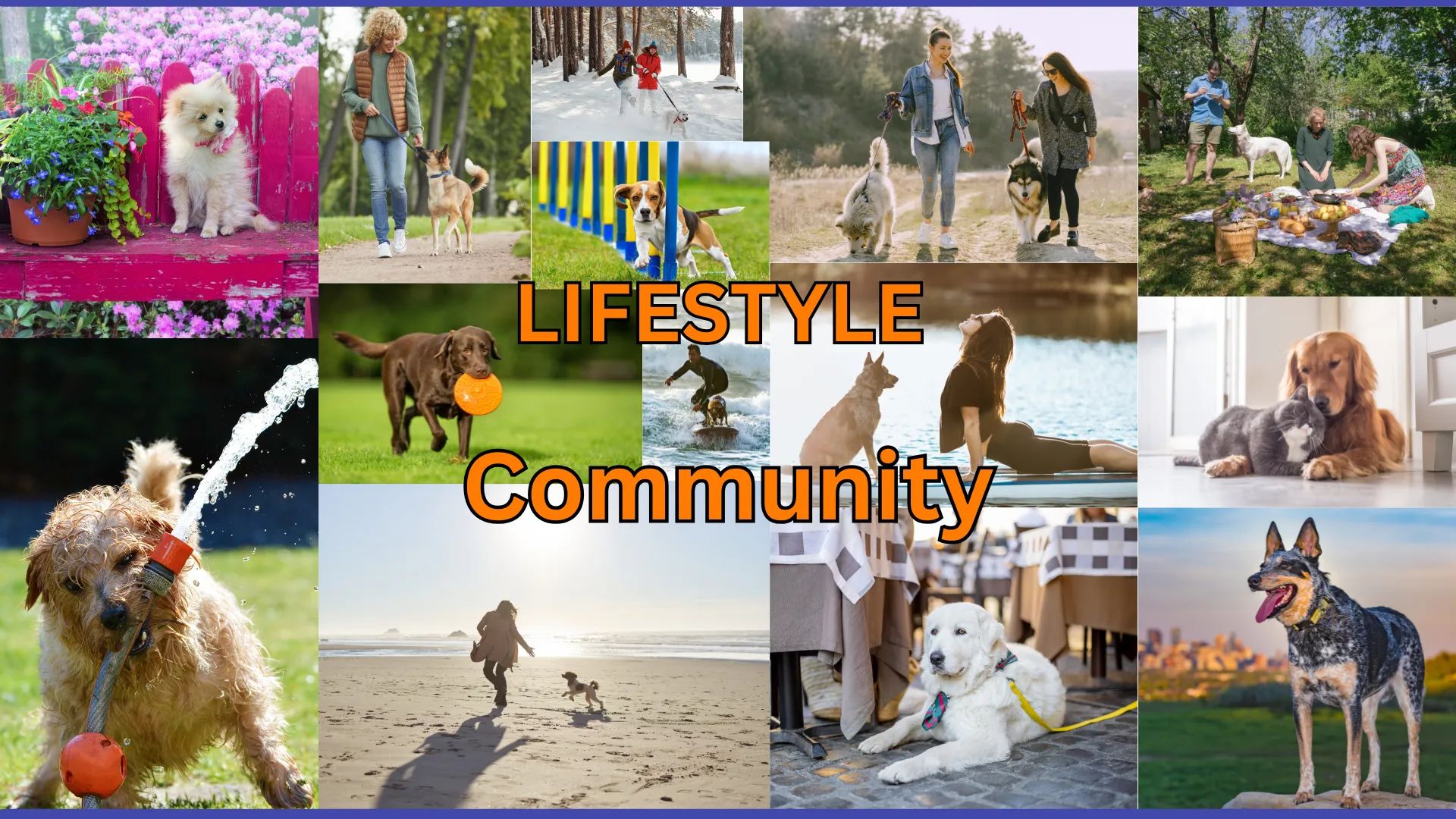 Lifestyle Community